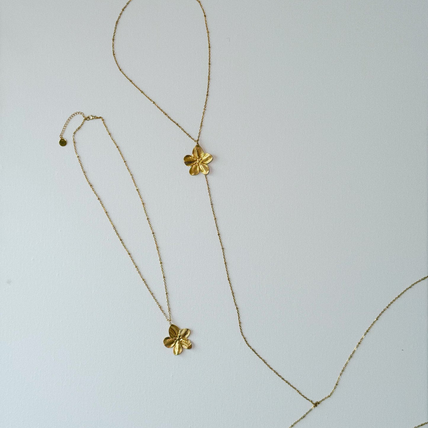 FLORECITA