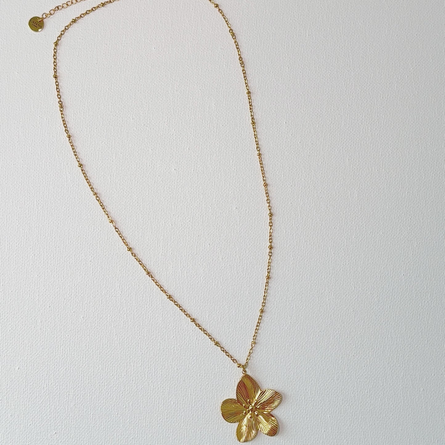 FLORECITA
