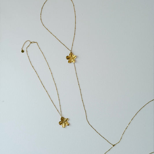 FLORECITA